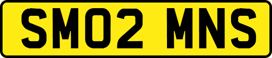 SM02MNS