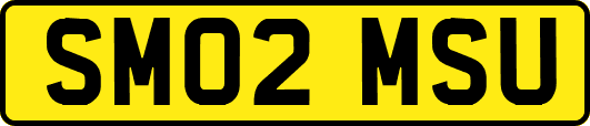 SM02MSU