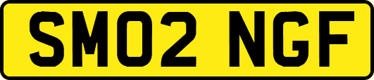 SM02NGF