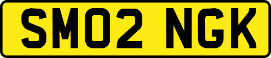 SM02NGK