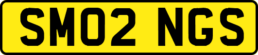 SM02NGS