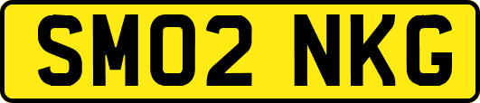 SM02NKG