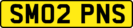 SM02PNS