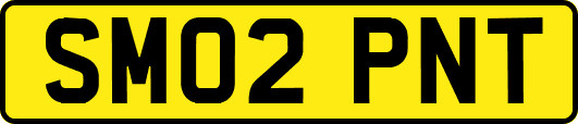 SM02PNT