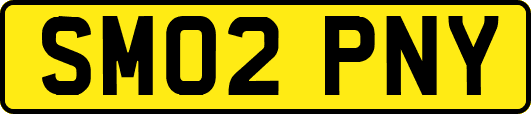 SM02PNY