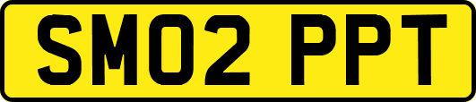 SM02PPT