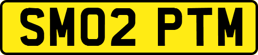 SM02PTM