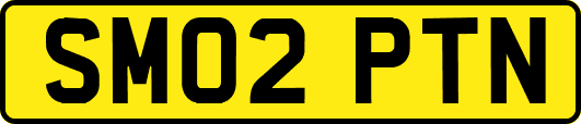 SM02PTN