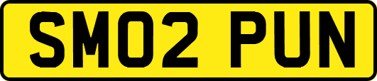 SM02PUN