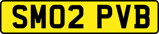 SM02PVB