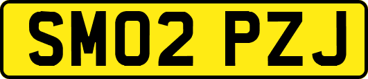 SM02PZJ