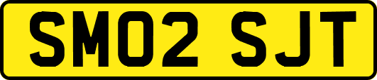 SM02SJT