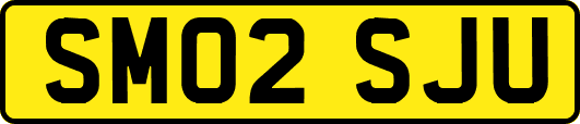 SM02SJU