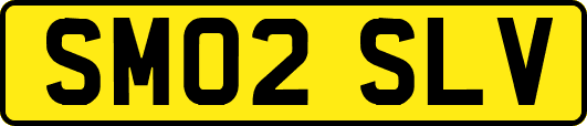 SM02SLV