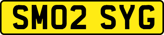 SM02SYG