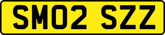 SM02SZZ