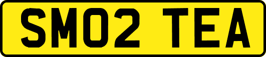 SM02TEA