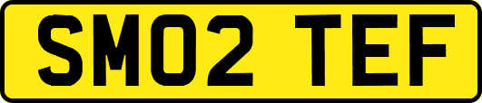 SM02TEF