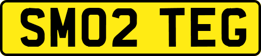 SM02TEG