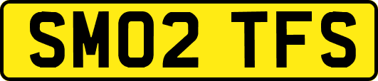 SM02TFS