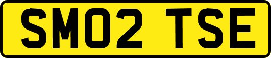 SM02TSE