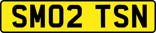 SM02TSN