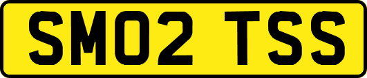 SM02TSS