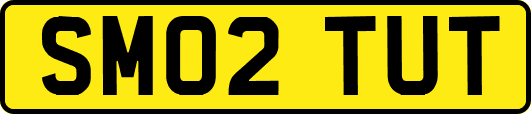 SM02TUT