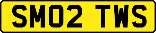 SM02TWS
