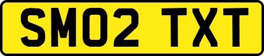SM02TXT