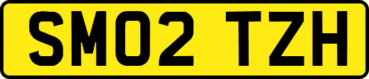 SM02TZH