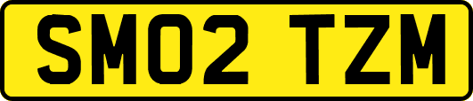 SM02TZM