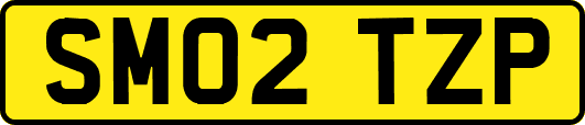 SM02TZP