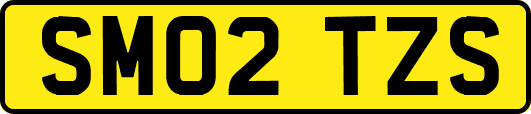SM02TZS
