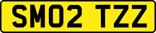 SM02TZZ