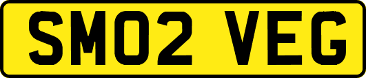 SM02VEG