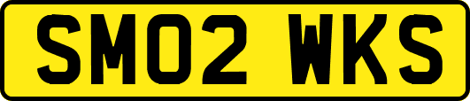 SM02WKS