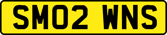 SM02WNS