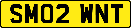 SM02WNT