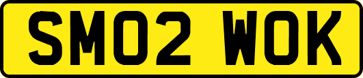 SM02WOK