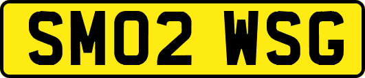 SM02WSG