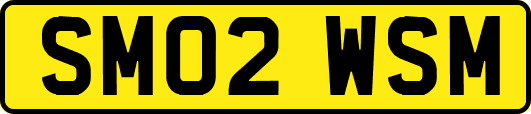 SM02WSM