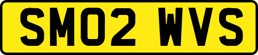 SM02WVS