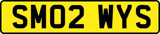 SM02WYS