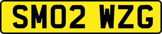 SM02WZG