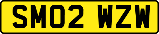SM02WZW
