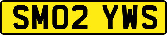 SM02YWS