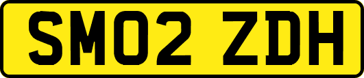 SM02ZDH
