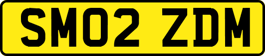 SM02ZDM