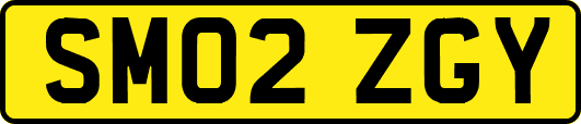 SM02ZGY